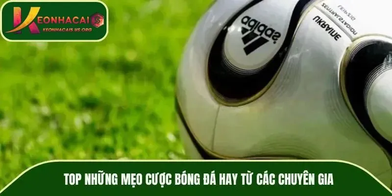 Mẹo dự đoán kèo bóng đá hay tại /