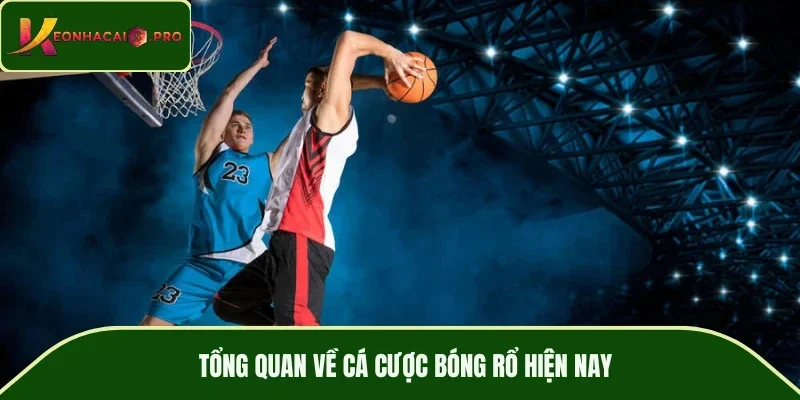 Tổng quan về cá cược bóng rổ hiện nay