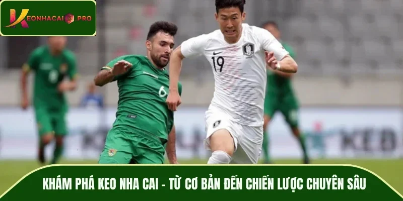 keo nha cai