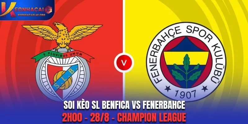 Soi Kèo SL Benfica vs Fenerbahce: 2h00 - 28/8 - Champion League